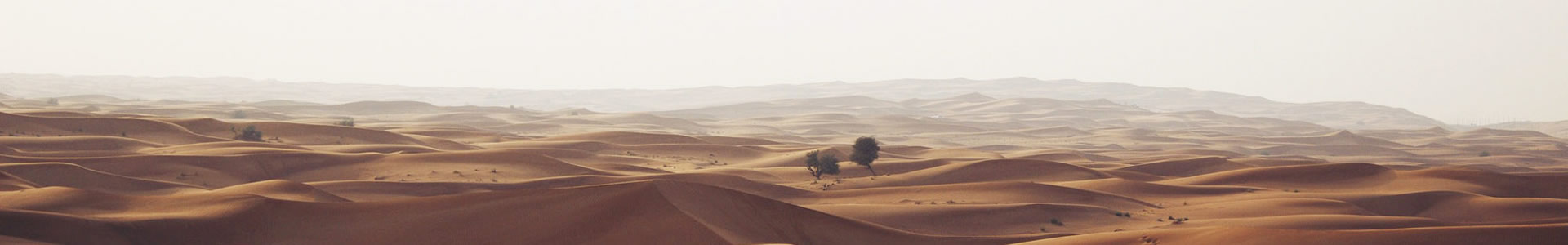 人нƼ޹˾